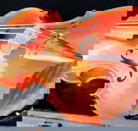 Kendall National Violin Competition Finals Weekend - Accommodation Resorts