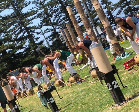 Kiama Show - Accommodation Resorts 1