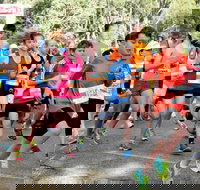 MAAS Group Dubbo Stampede Running Festival - Accommodation Resorts