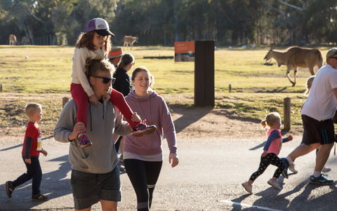 MAAS Group Dubbo Stampede Running Festival - Accommodation Resorts 1