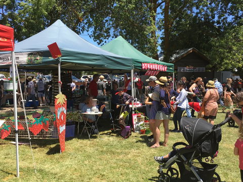 Macclesfield Strawberry Fete - Accommodation Resorts 1