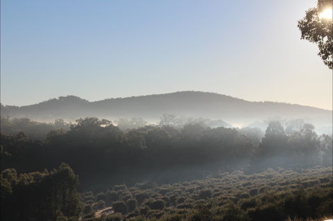 Mudgeeque - Accommodation Resorts 0