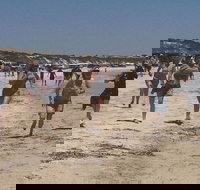 Perlubie Beach Sports Day - Accommodation Resorts