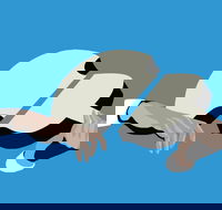 Petrenko's Shostakovich - Morning Symphony - Accommodation Resorts