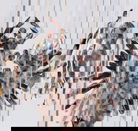 Pulse Perspectives - Accommodation Resorts