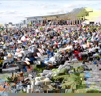 Riverfest Food Wine and Music Festival - Accommodation Resorts