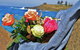 Roses By The Seaside: National Rose Championships And Conference - thumb 0