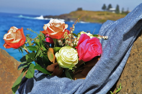 Roses By The Seaside: National Rose Championships And Conference - Accommodation Resorts 0