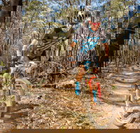 Shimano Mountain Bike Grand Prix Race Six Kempsey - Accommodation Resorts