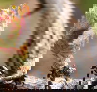 Spring Seasonal Lunch - Accommodation Resorts