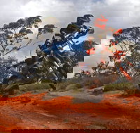 Sunraysia Safari Rally