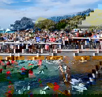 The Crescent Head Santa Surf - Accommodation Resorts