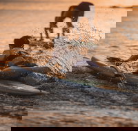 The Bay Games - Jervis Bay - Accommodation Resorts