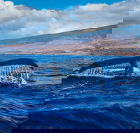 Tomaree Markets - Accommodation Resorts