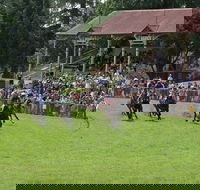 Tumut Boxing Day Races - Accommodation Resorts