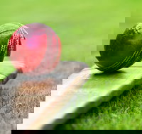 Under 13 14 15 Cricket Youth Championships - Accommodation Resorts