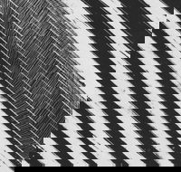 WA Now  Tom Mller Monolith Scores - Accommodation Resorts