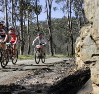 Wollombi Wild Ride Mountain Bike Ride - Accommodation Resorts