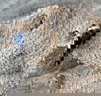 2020 Katherine Bird Festival - Accommodation Resorts