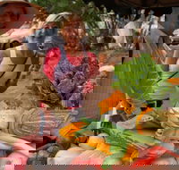 Albany Farmers Market - Accommodation Resorts