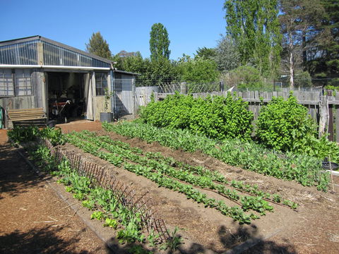 All Season Cold Climate Organic Vegetable Growing - Accommodation Resorts 1