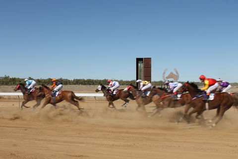 Annual Prairie Races - Accommodation Resorts 1