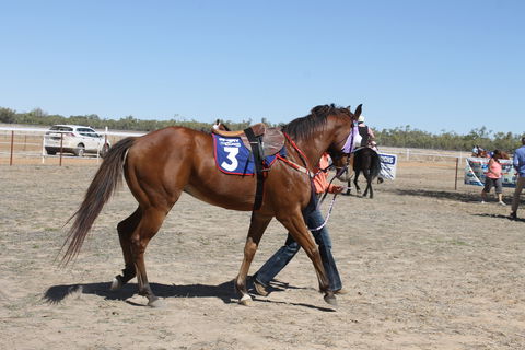 Annual Prairie Races - Accommodation Resorts 2