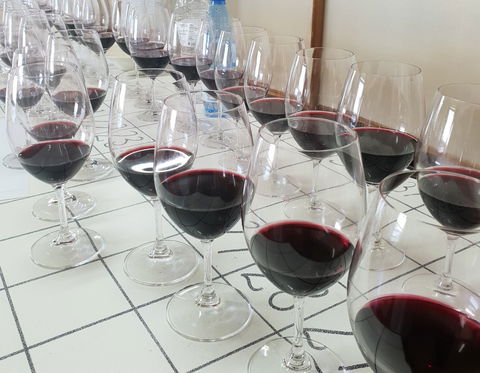 Australian Cool Climate Wine Show - Accommodation Resorts 1