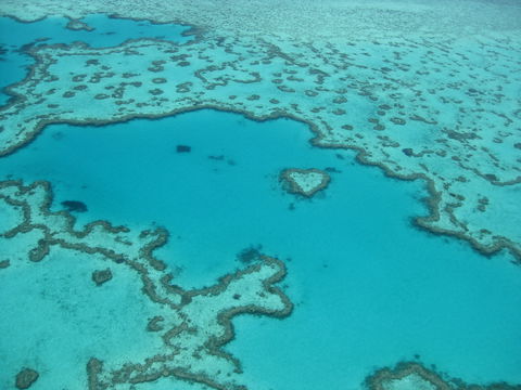 Australian Superyacht Rendezvous 2020 - Great Barrier Reef Edition - Accommodation Resorts 2