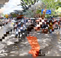 Australian National Busking Championships - Accommodation Resorts