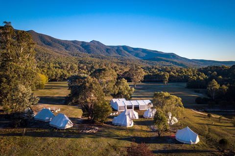A Wild Night Out - Spring - Accommodation Resorts 5
