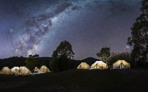 A Wild Night Out - Spring - Accommodation Resorts 6