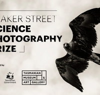 Beaker Street Science Photography Prize - Accommodation Resorts
