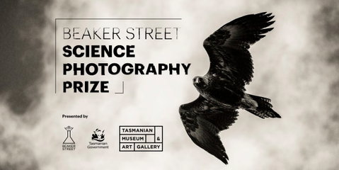 Beaker Street Science Photography Prize - Accommodation Resorts 0