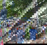 Bellingen Community Markets - Accommodation Resorts