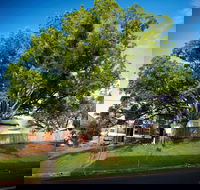 Big Bat Wildlife and Eco Festival - Accommodation Resorts
