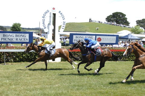 Bong Bong Picnic Races - Accommodation Resorts 0