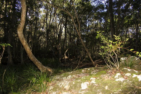 Bottlebutt Bash Trail Run - Accommodation Resorts 1