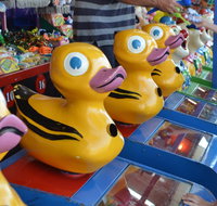 Casino Agricultural Show - Accommodation Resorts