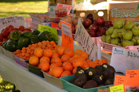 Centenary Park Charity Markets - Accommodation Resorts 0