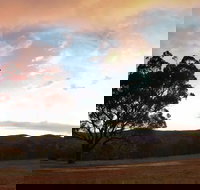 Christmas in July Jumpers and Jazz - Accommodation Resorts