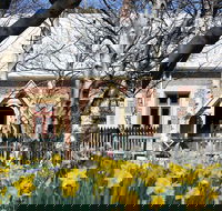 Daffodils at Rydal - Accommodation Resorts