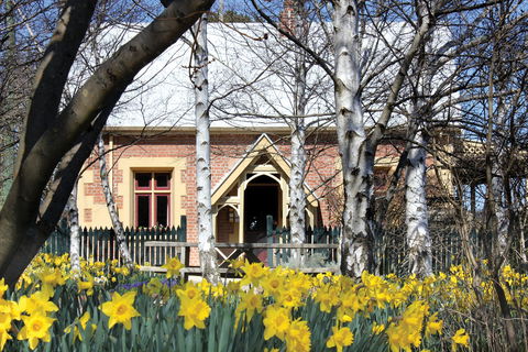 Daffodils At Rydal - Accommodation Resorts 0