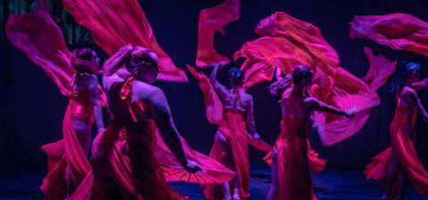 Darwin Fringe Festival - Accommodation Resorts 1