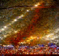 Festivale - Accommodation Resorts