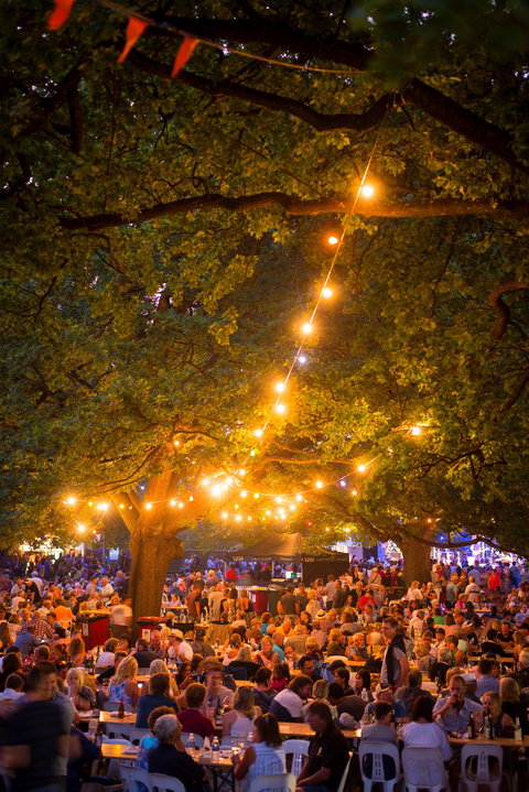 Festivale - Accommodation Resorts 0