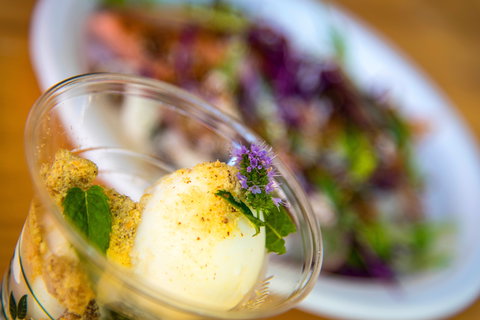 Festivale - Accommodation Resorts 2