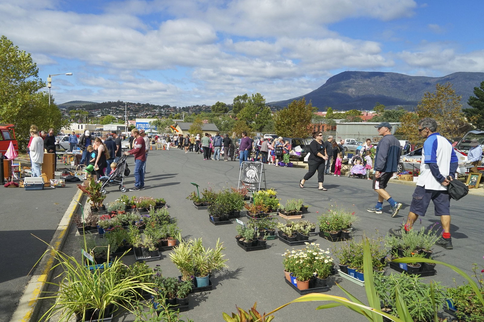 Hobart TAS Accommodation Resorts