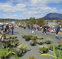 Hobart Showground Sunday Market - Weekly - Accommodation Resorts