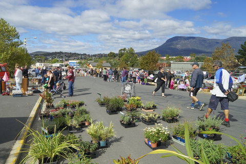 Hobart Showground Sunday Market - Weekly - Accommodation Resorts 0